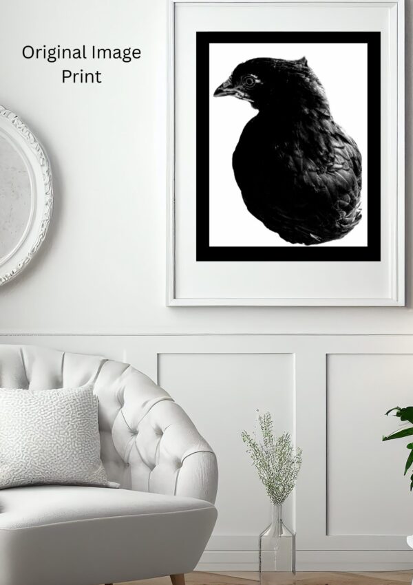 Baby Eye Photo Print - Image 2
