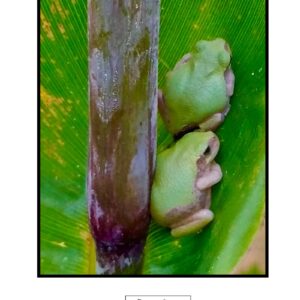 Buddy System Photo Print