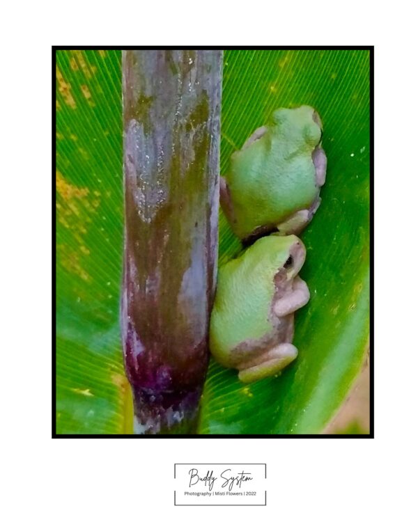 Buddy System Photo Print