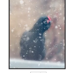 Snow Day Photo Print