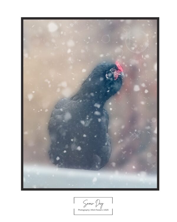 Snow Day Photo Print