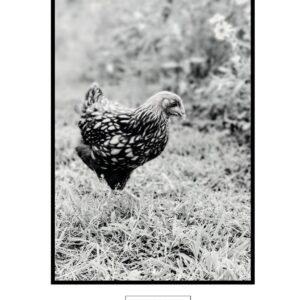 Ella Photo Print