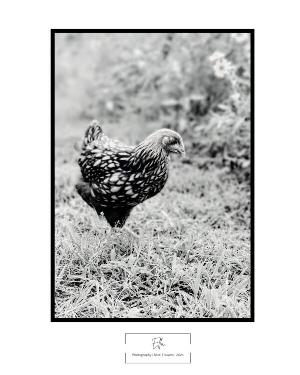 Ella Photo Print