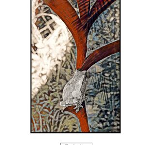 Frog In Abstract Photo Print