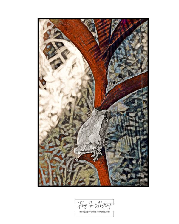 Frog In Abstract Photo Print