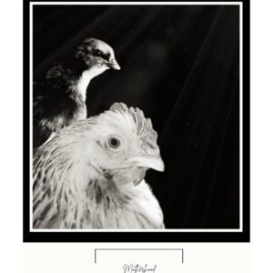 Motherhood Photo Print