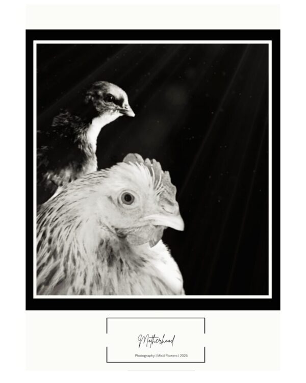 Motherhood Photo Print