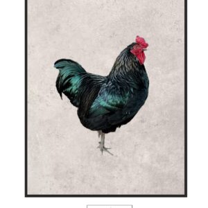 On Guard Photo Print