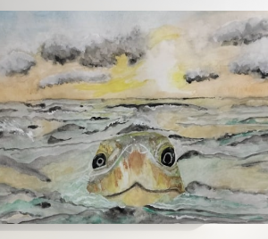 Bobbing Along Print on Canvas