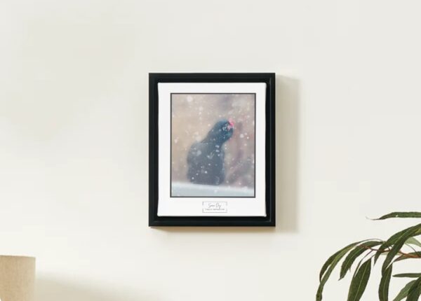 Snow Day Photo Print - Image 2