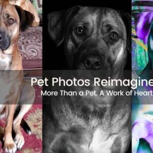 Pet Photos Reimagined