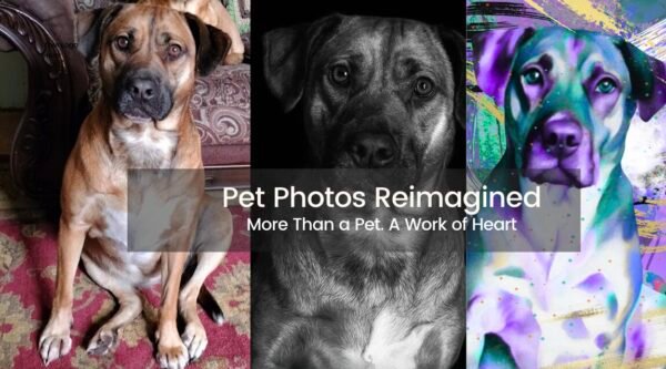 Pet Photos Reimagined