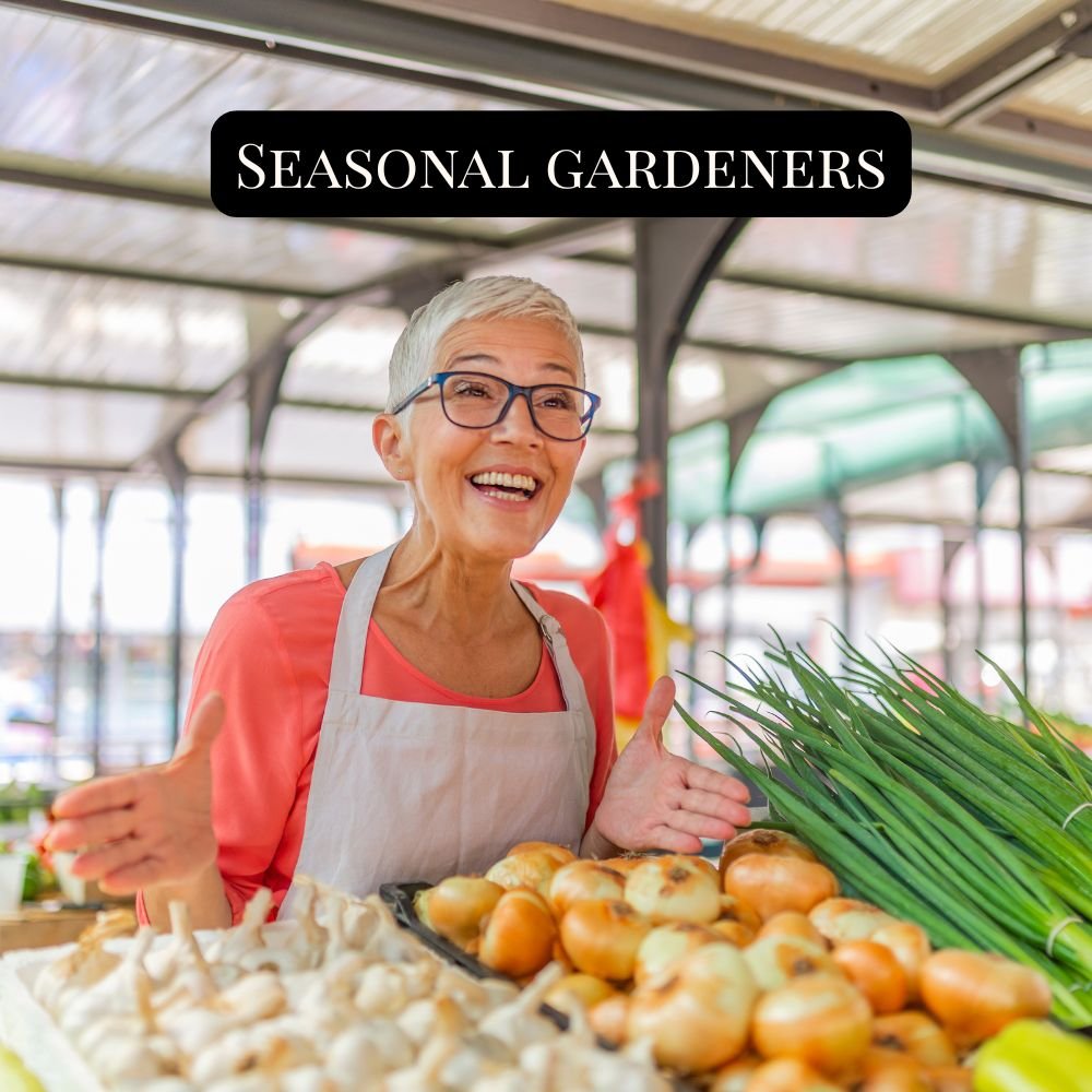Seasonal Vendors